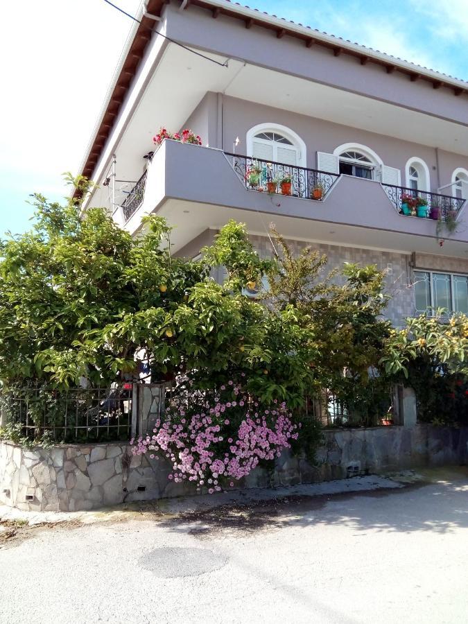 Vonitsa Loft Apartment 1 Ngoại thất bức ảnh
